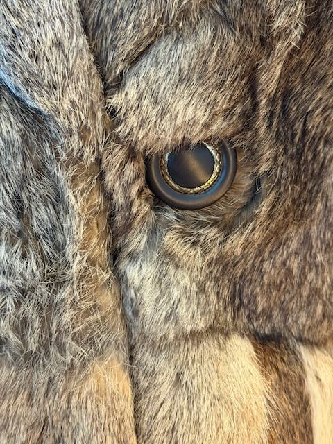 Brown Muscrat Hip Length Fur w Buttons